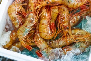 【水産女子×魚がしコンシェルジュコラボ】 エビ海老フェスティバル @ 築地 レストラン「ボン・マルシェ」