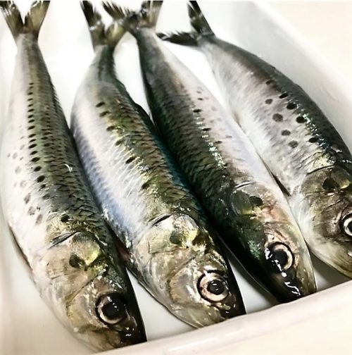  イワシの梅煮～皮を破かずに煮るコツ